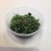 Sides - Sweet Sea Salad 
